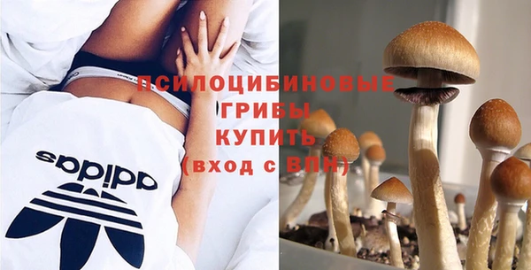 ешки Армянск