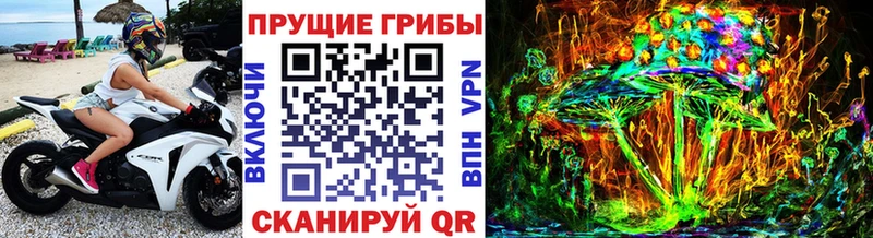 как найти Змеиногорск Галлюциногенные грибы Magic Shrooms