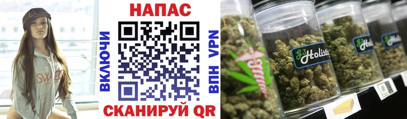 закладка  Змеиногорск  Каннабис планчик 
